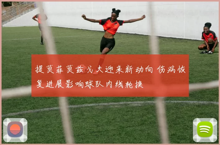 提莫菲莫兹戈夫迎来新动向 伤病恢复进展影响球队内线轮换