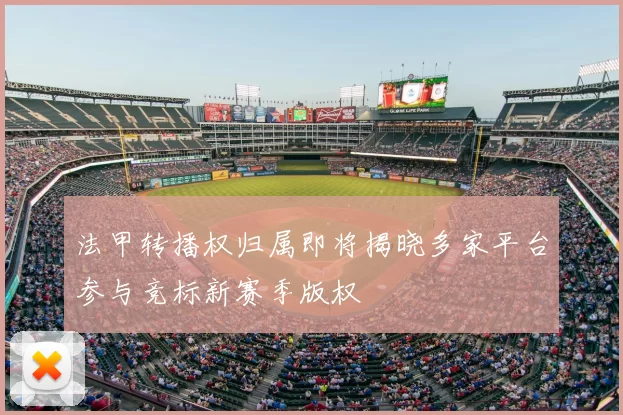 法甲转播权归属即将揭晓多家平台参与竞标新赛季版权