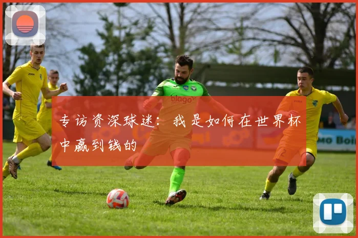 专访资深球迷：我是如何在世界杯中赢到钱的