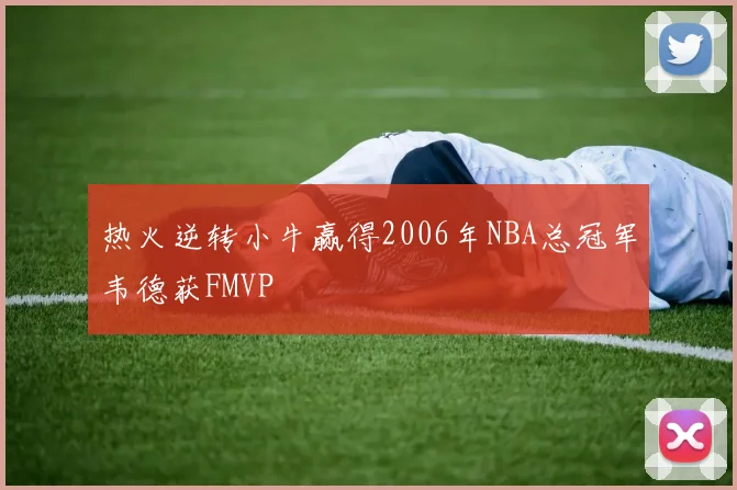 热火逆转小牛赢得2006年NBA总冠军韦德获FMVP