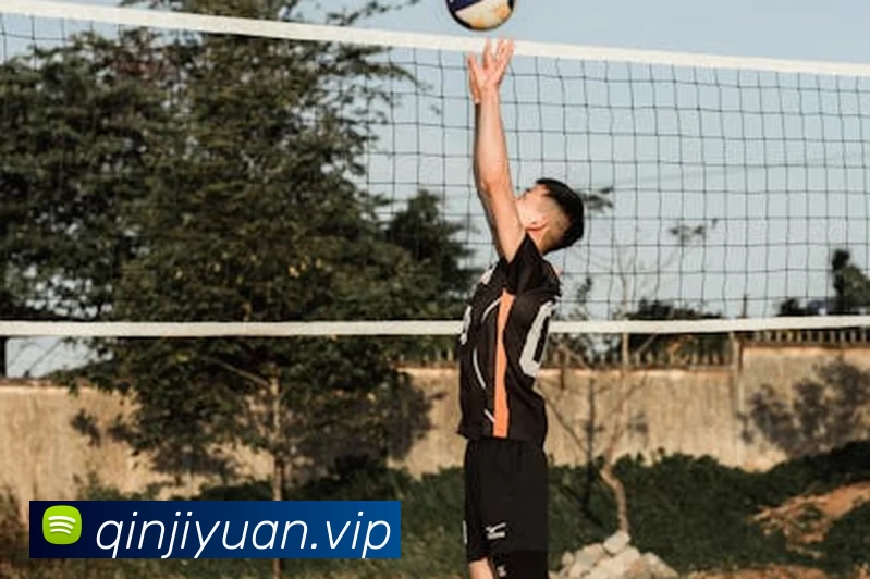 多媒体互动体验